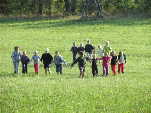 Obrázek v galerii